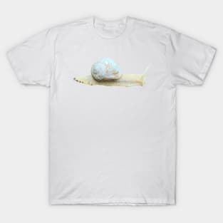 Snail T-Shirt